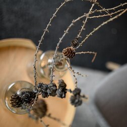 Gastgeber in den Apartments in Mals - das Calva