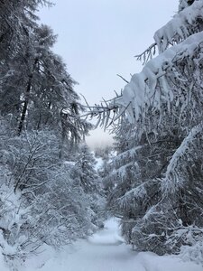 Impressionen vom Urlaubsglück in Mals/Laatsch, Südtirol
