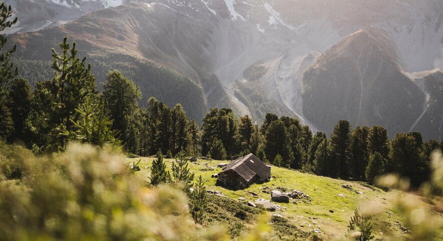 Wanderurlaub Südtirol, Laatsch/Mals, auf der Sonnenseite