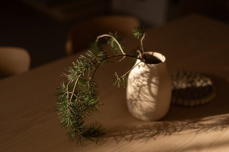 Impressionen vom Urlaubsglück in Mals/Laatsch, Südtirol